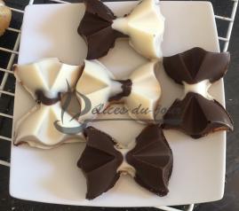 Noeud papillon chocolat 